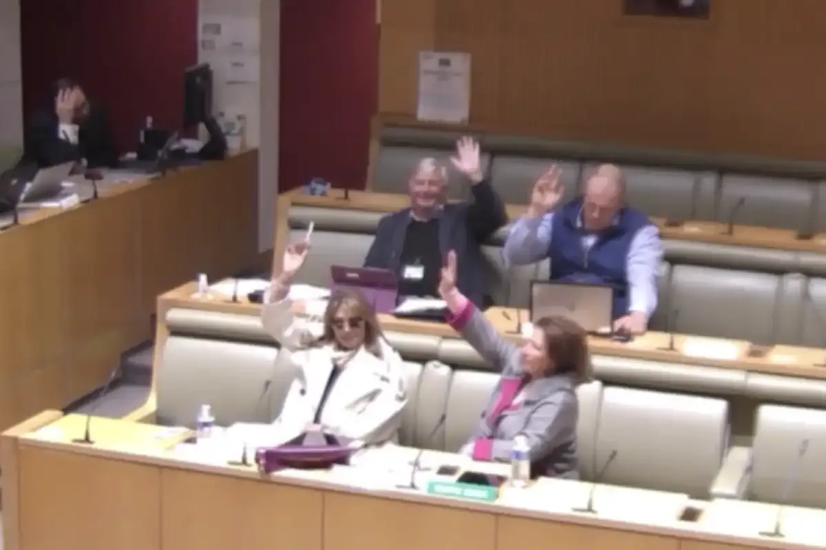 All hands raised, marking a unanimous vote in favour